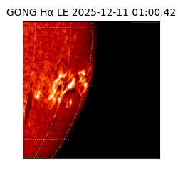 gong - 2025-12-11T01:00:42