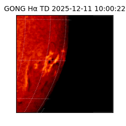gong - 2025-12-11T10:00:22