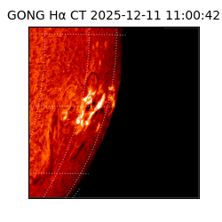 gong - 2025-12-11T11:00:42