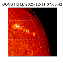 gong - 2025-12-11T07:00:42