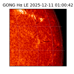 gong - 2025-12-11T01:00:42