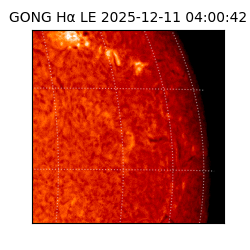 gong - 2025-12-11T04:00:42
