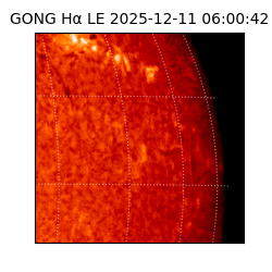 gong - 2025-12-11T06:00:42