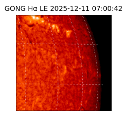 gong - 2025-12-11T07:00:42
