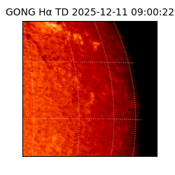 gong - 2025-12-11T09:00:22