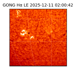 gong - 2025-12-11T02:00:42