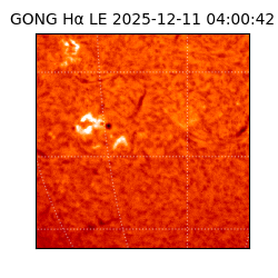 gong - 2025-12-11T04:00:42