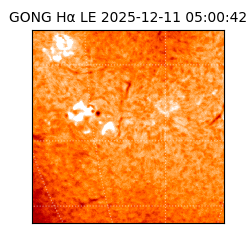 gong - 2025-12-11T05:00:42