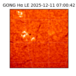 gong - 2025-12-11T07:00:42