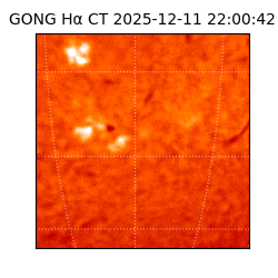 gong - 2025-12-11T22:00:42