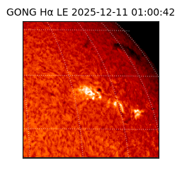 gong - 2025-12-11T01:00:42