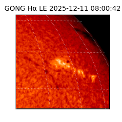 gong - 2025-12-11T08:00:42