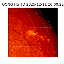 gong - 2025-12-11T10:00:22