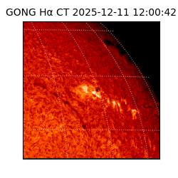 gong - 2025-12-11T12:00:42