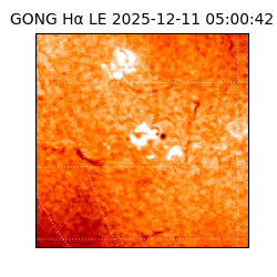 gong - 2025-12-11T05:00:42