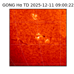 gong - 2025-12-11T09:00:22