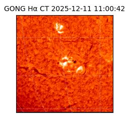 gong - 2025-12-11T11:00:42