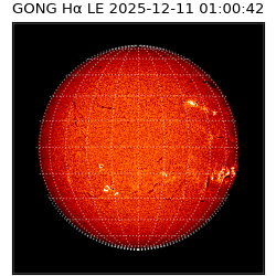 gong - 2025-12-11T01:00:42
