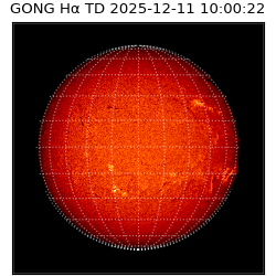 gong - 2025-12-11T10:00:22