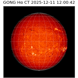 gong - 2025-12-11T12:00:42