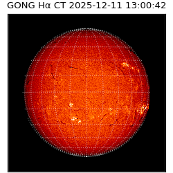 gong - 2025-12-11T13:00:42