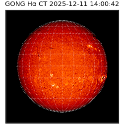 gong - 2025-12-11T14:00:42