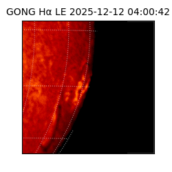 gong - 2025-12-12T04:00:42