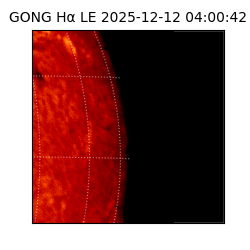 gong - 2025-12-12T04:00:42