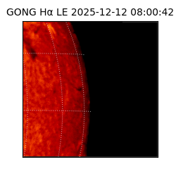 gong - 2025-12-12T08:00:42