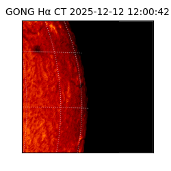 gong - 2025-12-12T12:00:42