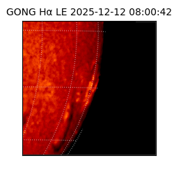 gong - 2025-12-12T08:00:42