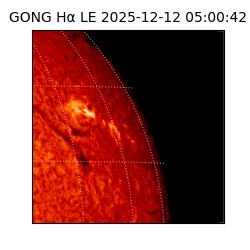 gong - 2025-12-12T05:00:42