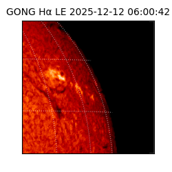 gong - 2025-12-12T06:00:42
