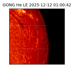 gong - 2025-12-12T01:00:42