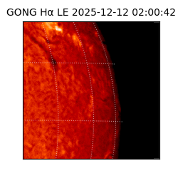 gong - 2025-12-12T02:00:42