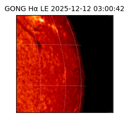 gong - 2025-12-12T03:00:42