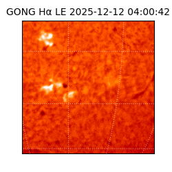 gong - 2025-12-12T04:00:42