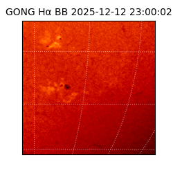 gong - 2025-12-12T23:00:02