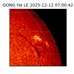 gong - 2025-12-12T07:00:42