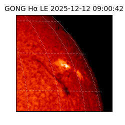 gong - 2025-12-12T09:00:42