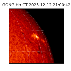 gong - 2025-12-12T21:00:42