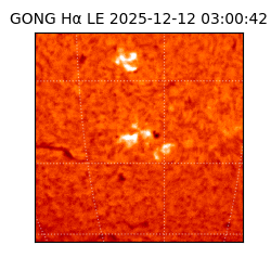 gong - 2025-12-12T03:00:42