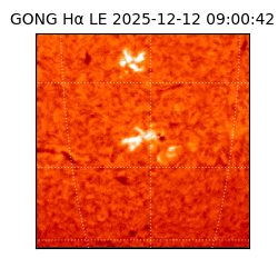 gong - 2025-12-12T09:00:42