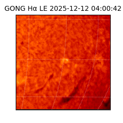 gong - 2025-12-12T04:00:42