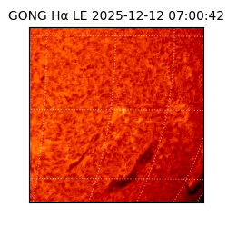 gong - 2025-12-12T07:00:42