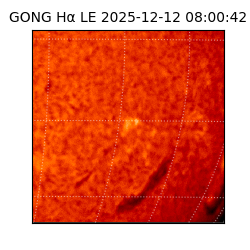 gong - 2025-12-12T08:00:42