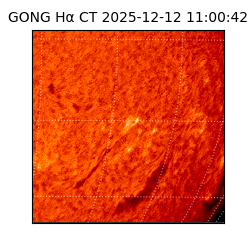 gong - 2025-12-12T11:00:42