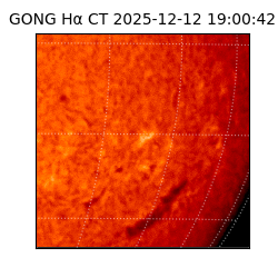 gong - 2025-12-12T19:00:42