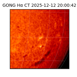 gong - 2025-12-12T20:00:42