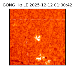 gong - 2025-12-12T01:00:42